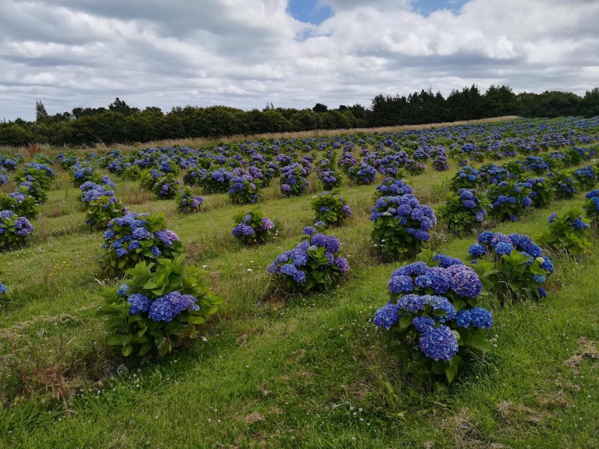 Bnb La Neo Bretonne Minihy-Tréguier Buitenkant foto