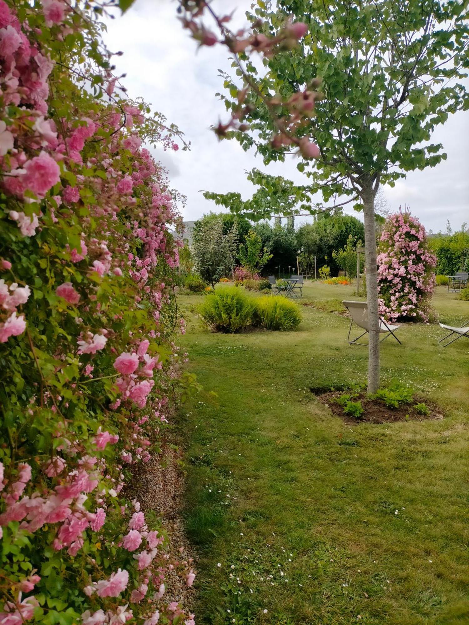 Bnb La Neo Bretonne Minihy-Tréguier Buitenkant foto